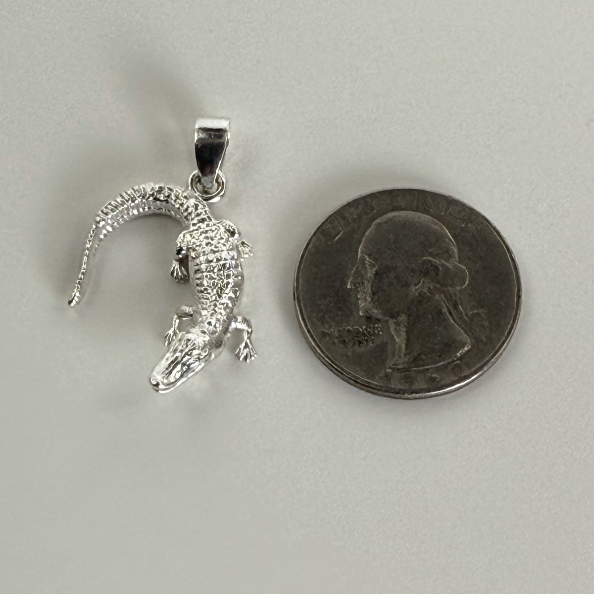 American Alligator Half Moon - Small size reference next to a quarter