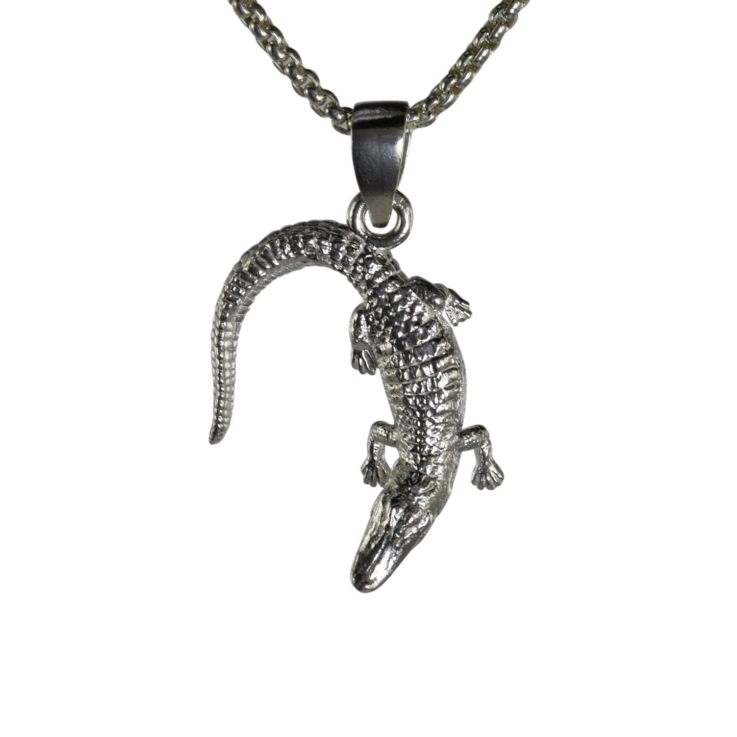 American Alligator Half Moon - Small