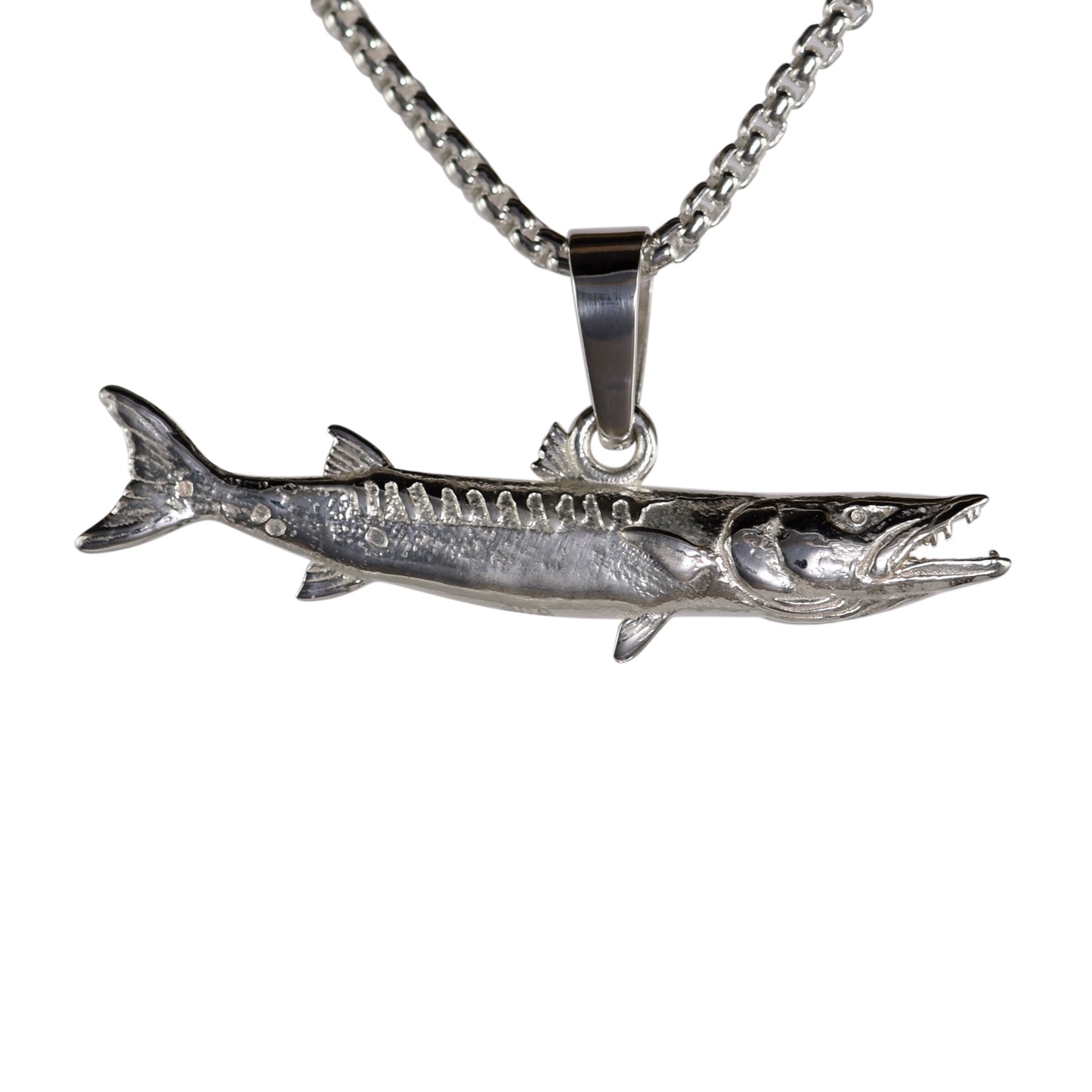 Barracuda Fish - Small