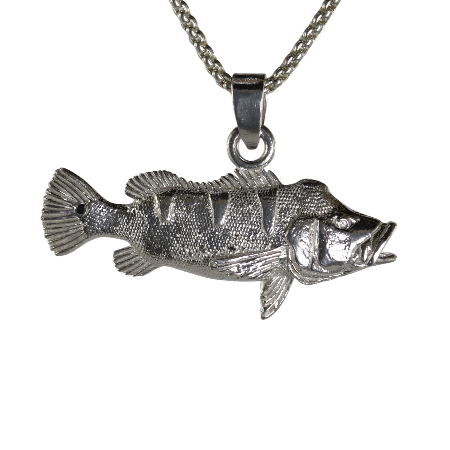 Peacock Bass - Medium