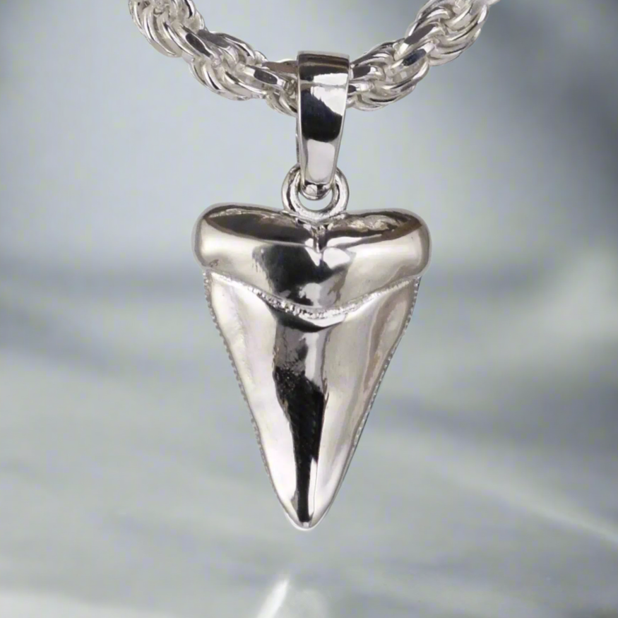 Shark Tooth Pendant - Medium