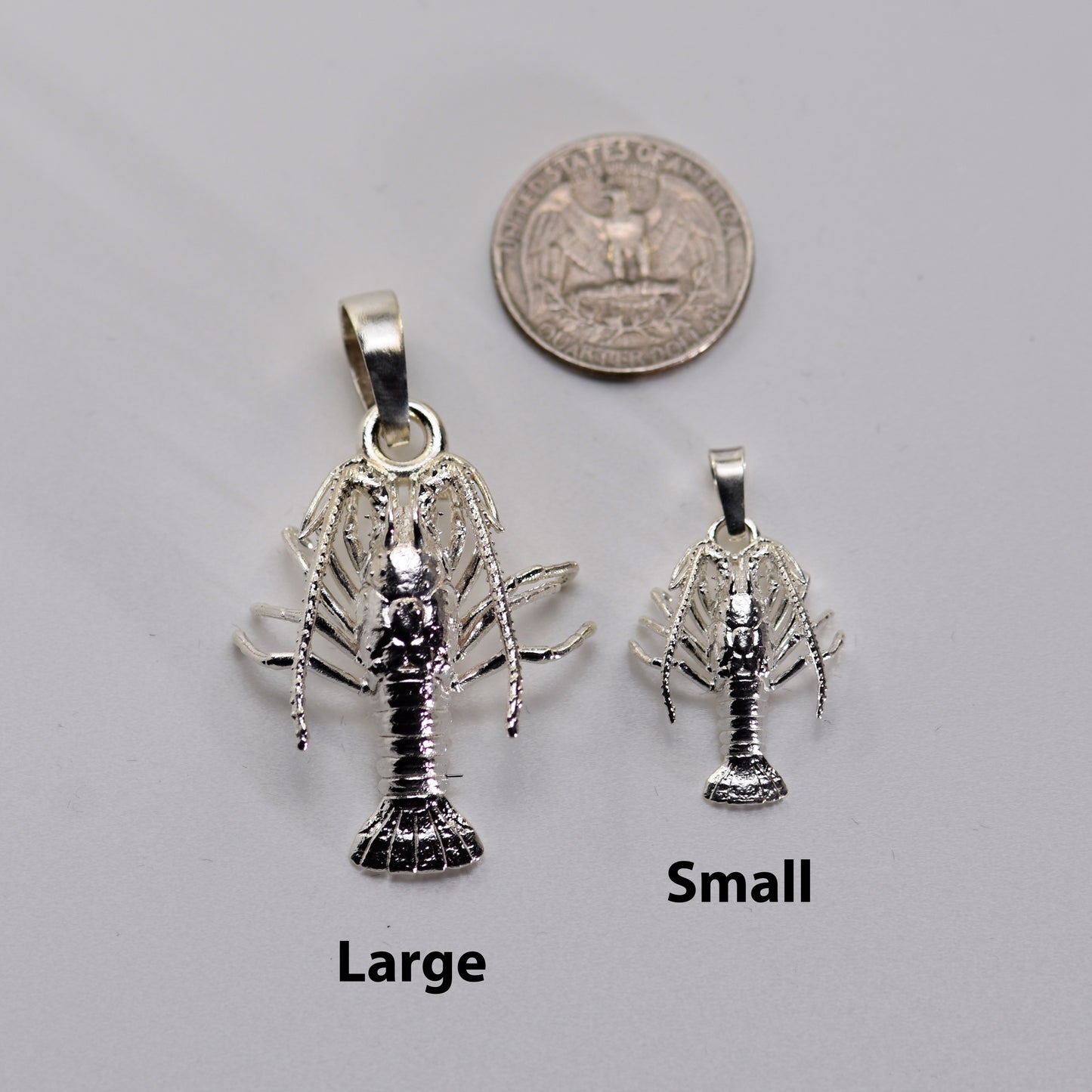 Spiny Florida Lobster - Small