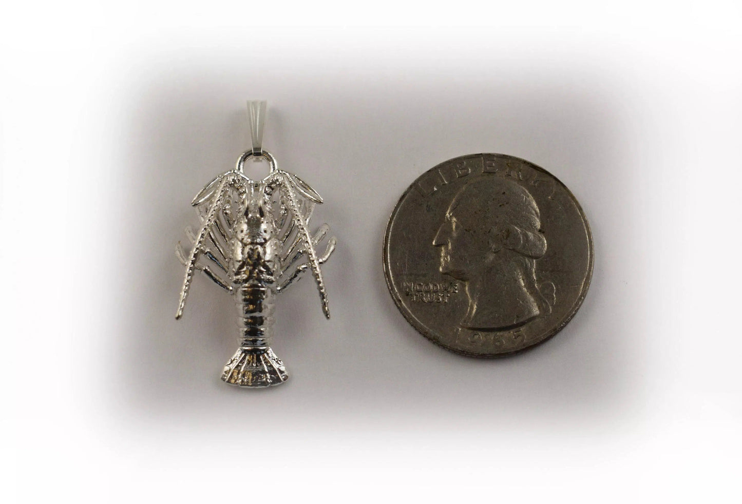 Spiny Florida Lobster - Small