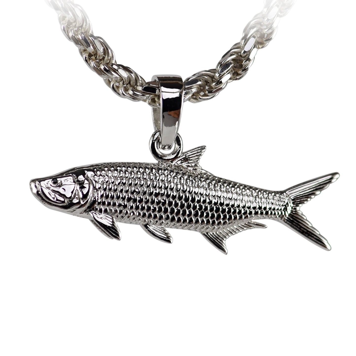 Tarpon Cruising - Large