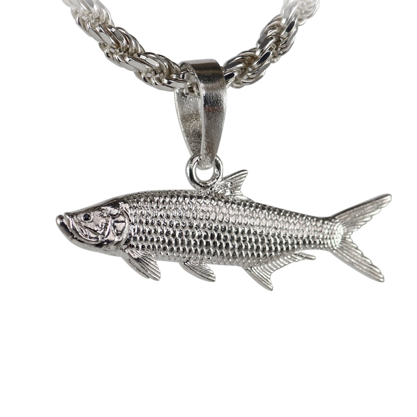 Tarpon Cruising - Large