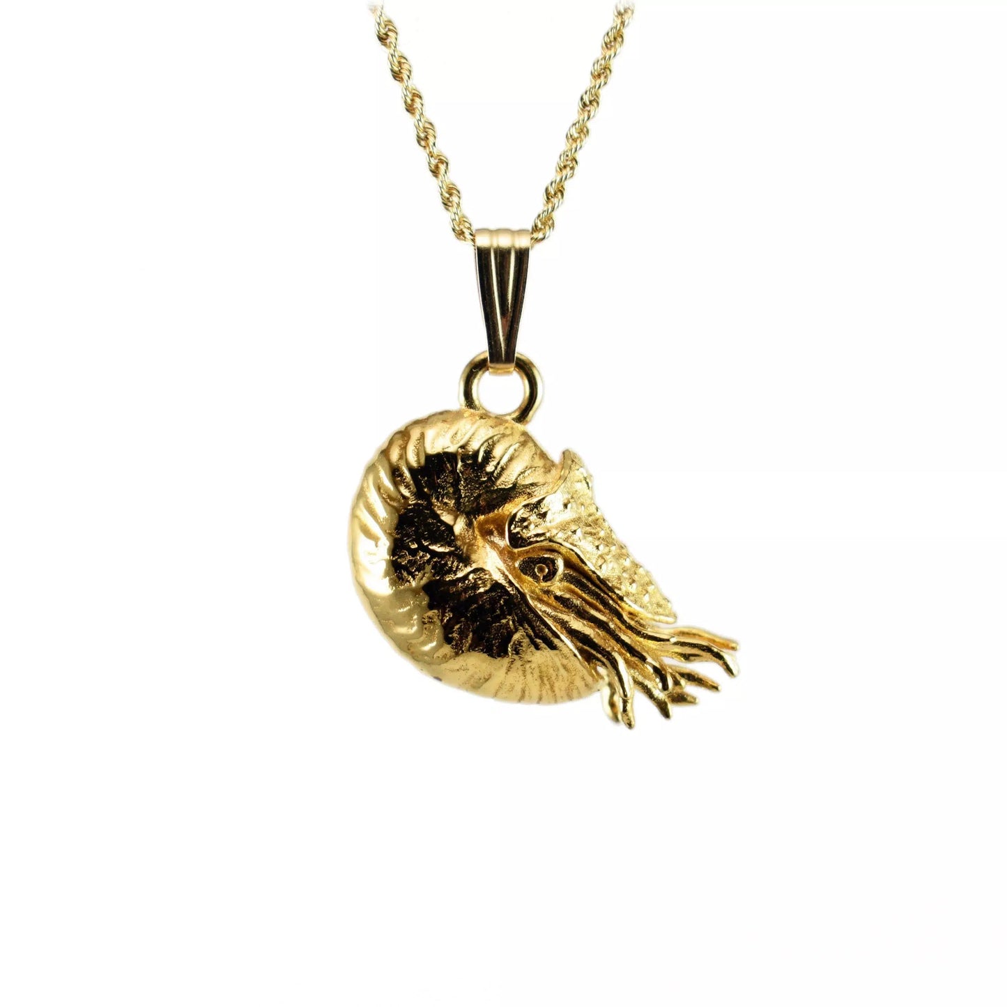 Nautilus Pendant - Large
