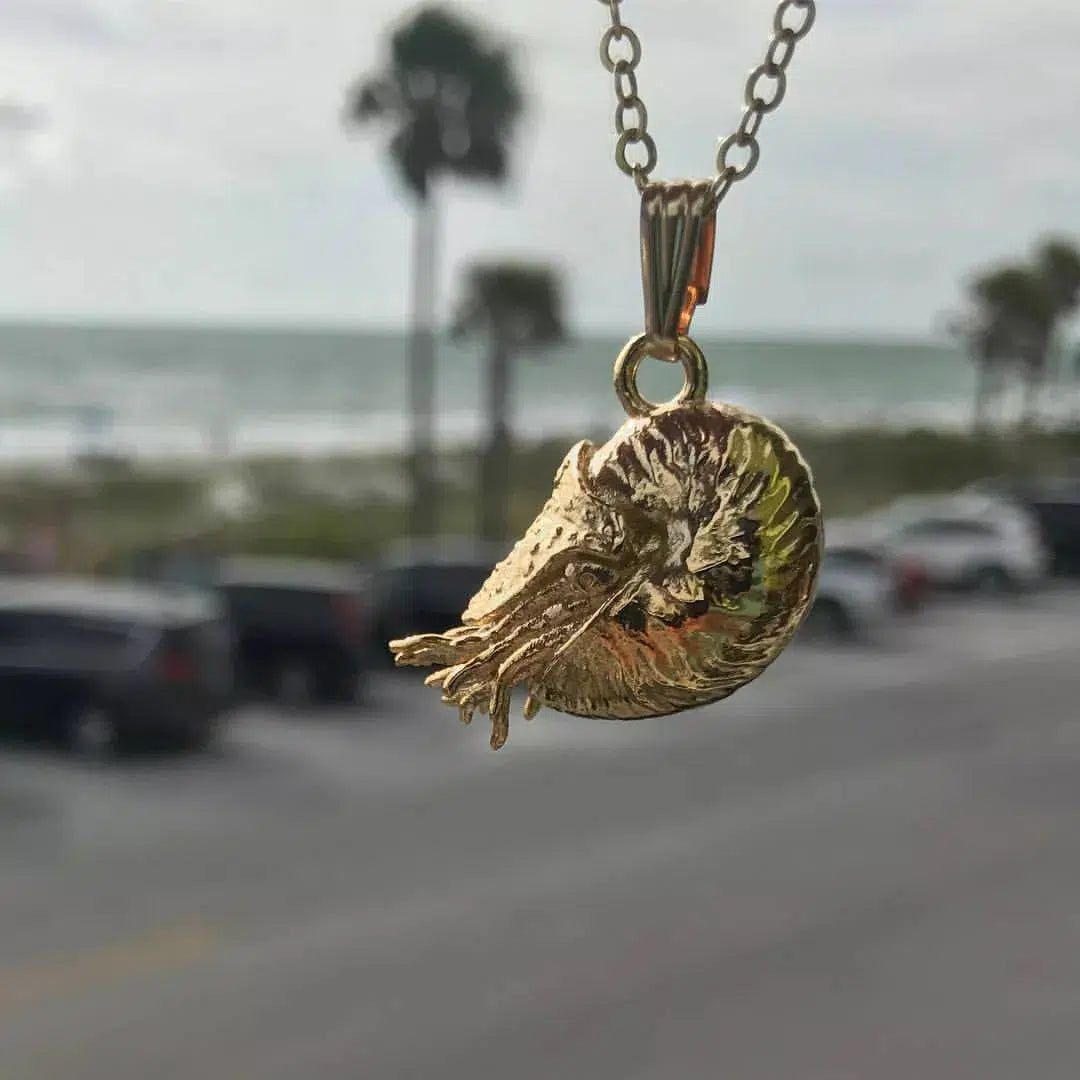 Nautilus Pendant - Large
