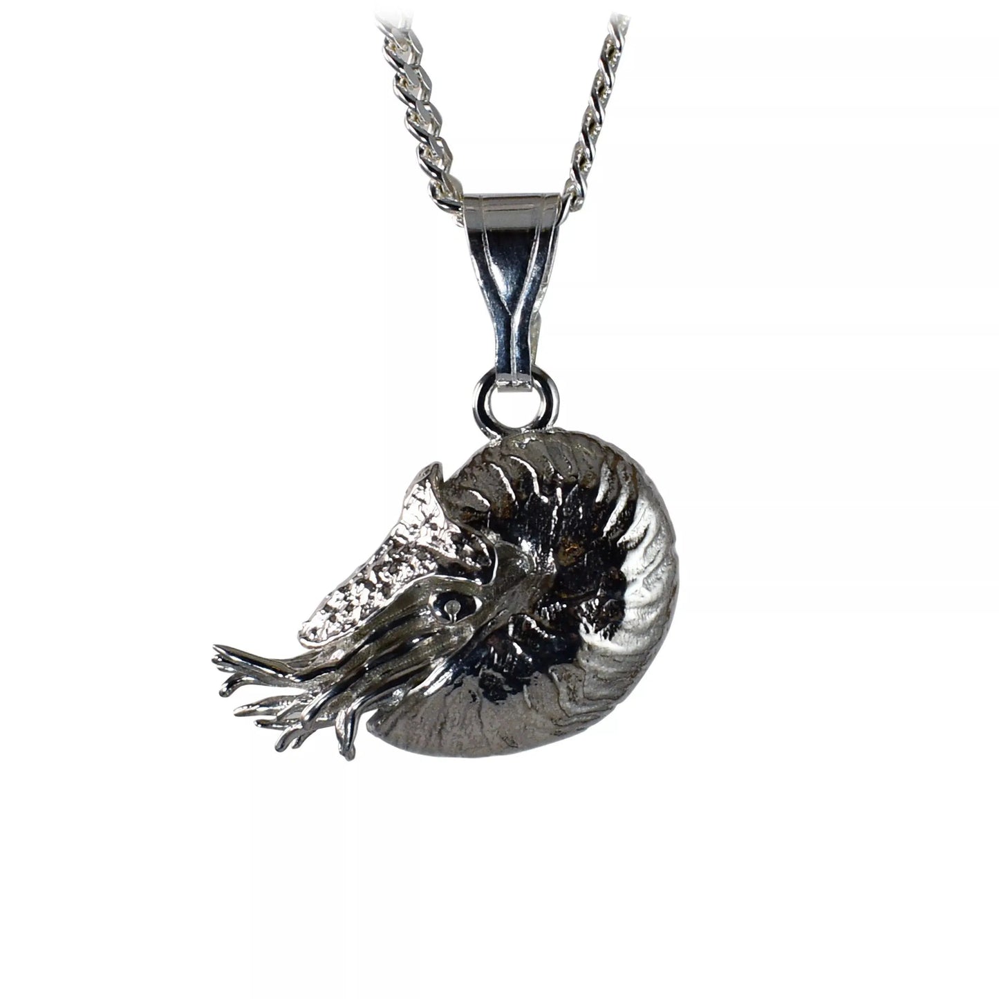 Nautilus Pendant - Large