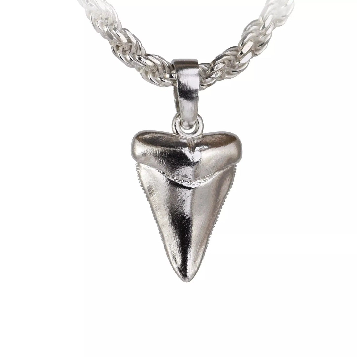 Shark Tooth Pendant - Medium