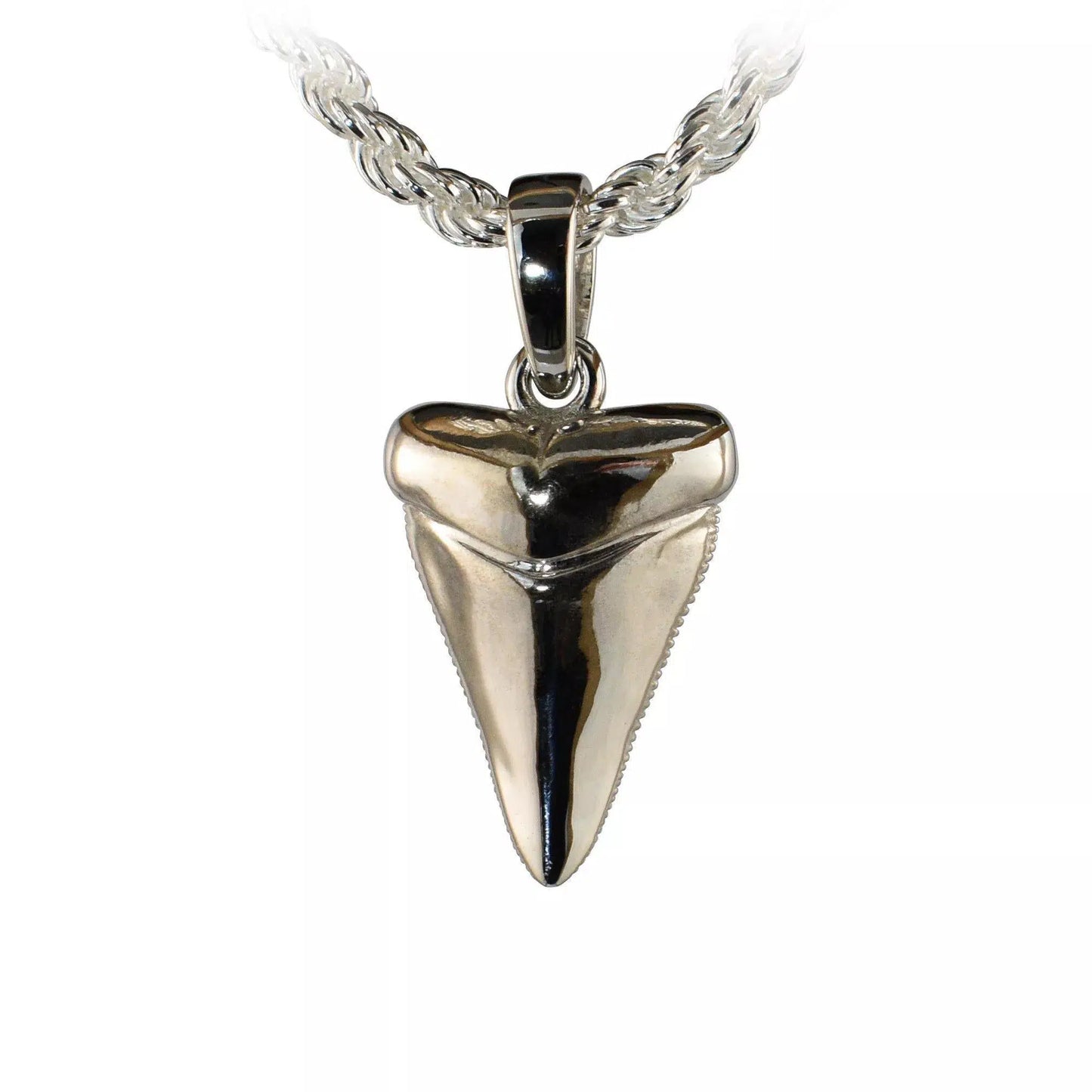 Shark Tooth Pendant - Medium