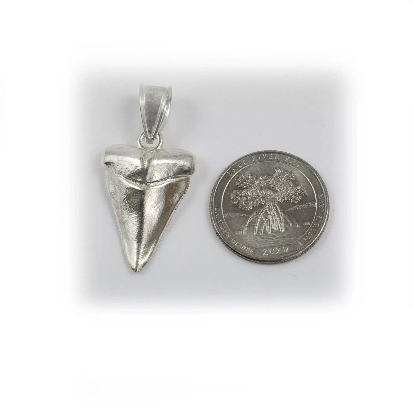 Shark Tooth Pendant - Medium
