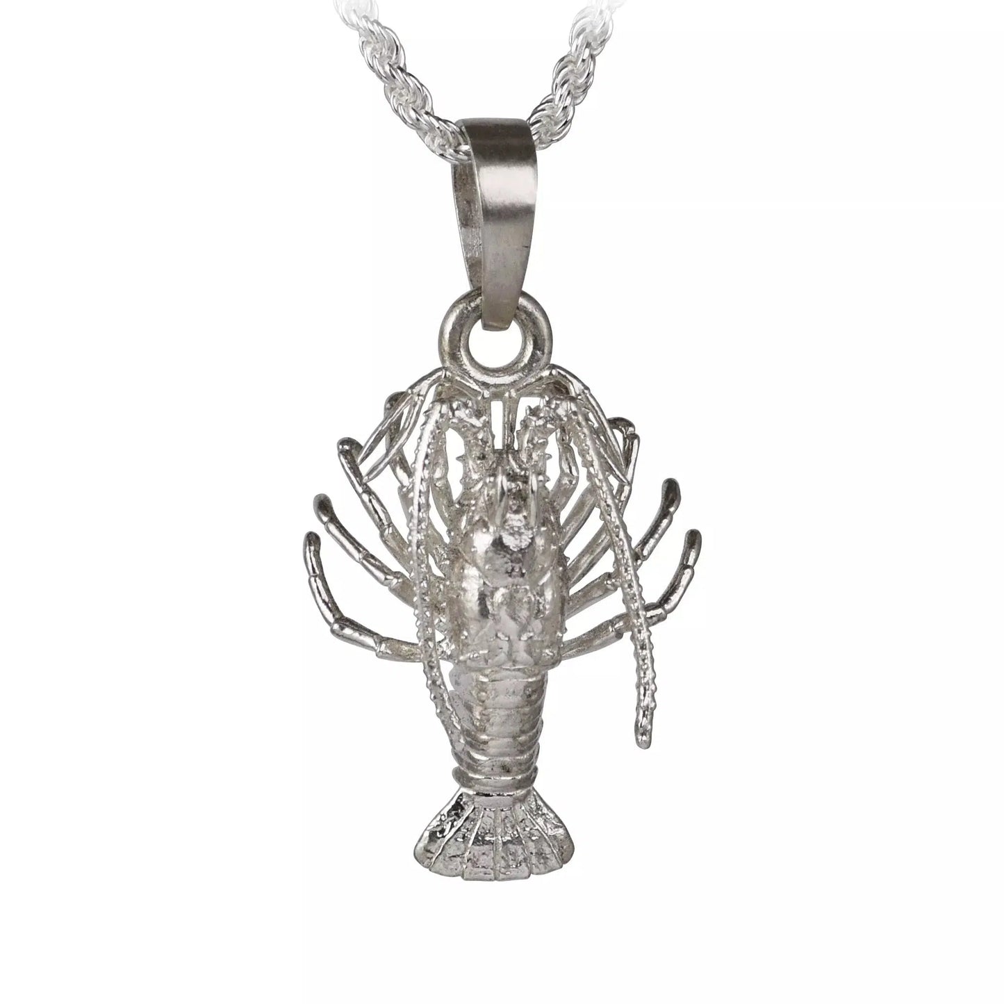 Spiny Florida Lobster - Large