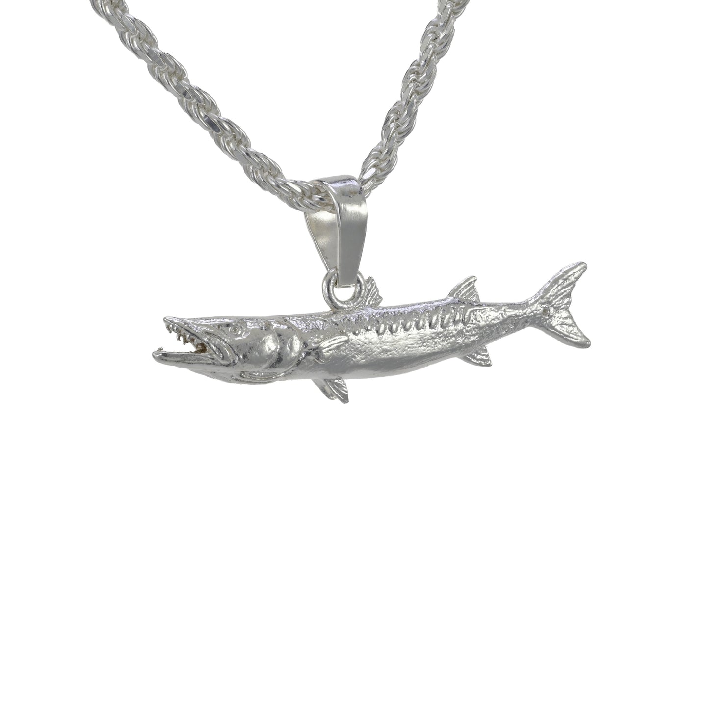 Barracuda Fish - Small