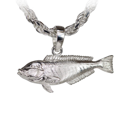 Blueline Tilefish - Large