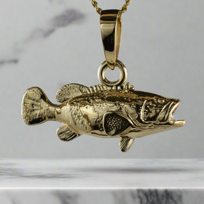 Goliath Grouper - Large