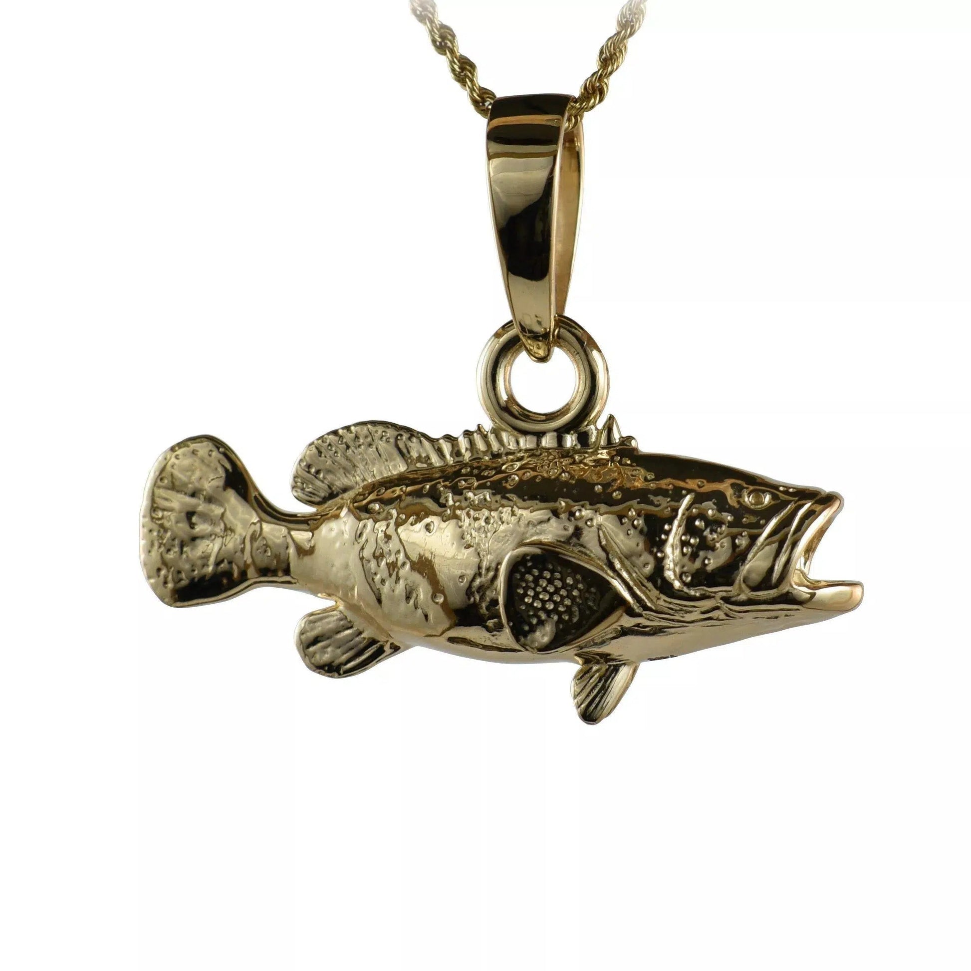 Goliath Grouper - Large