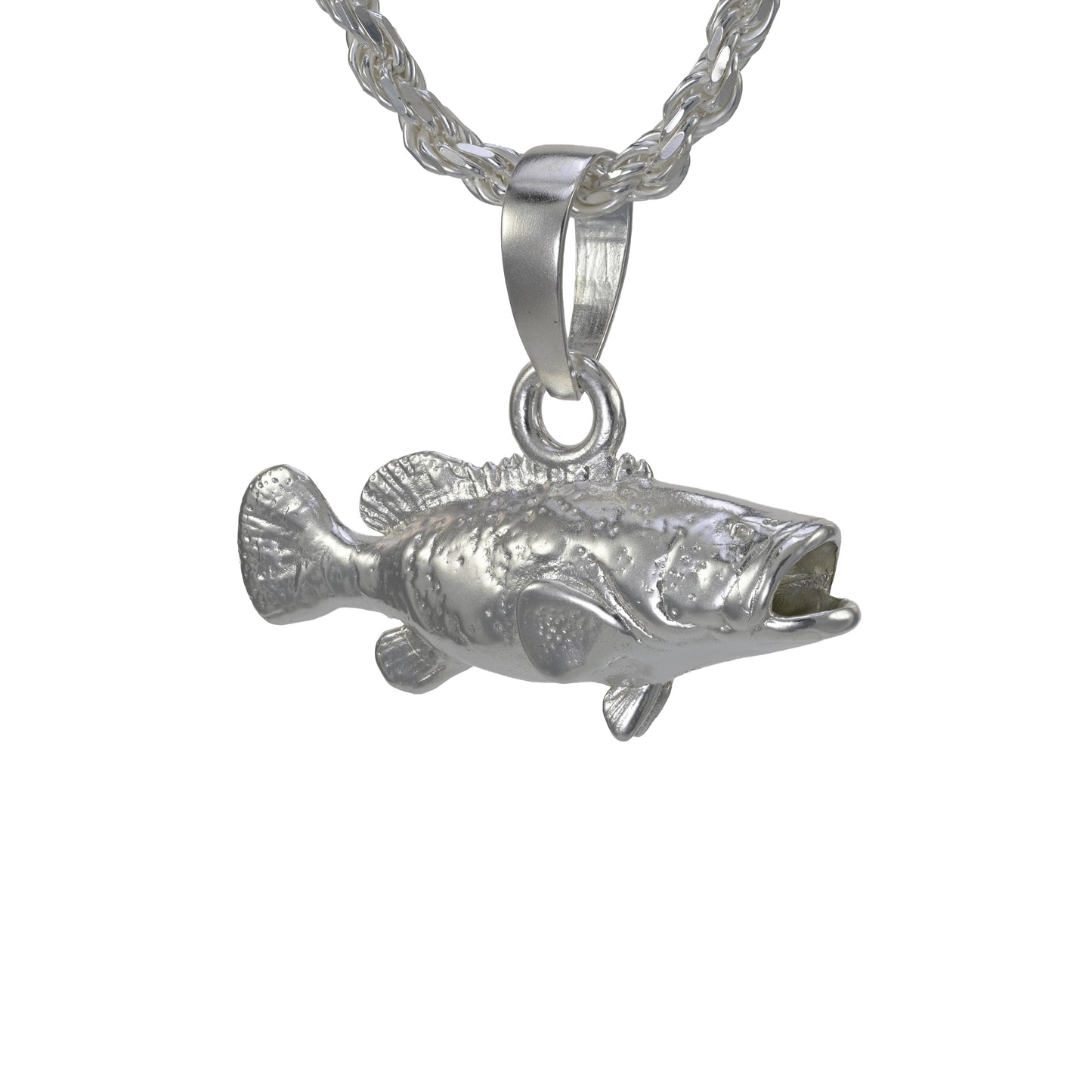 Goliath Grouper -  Large