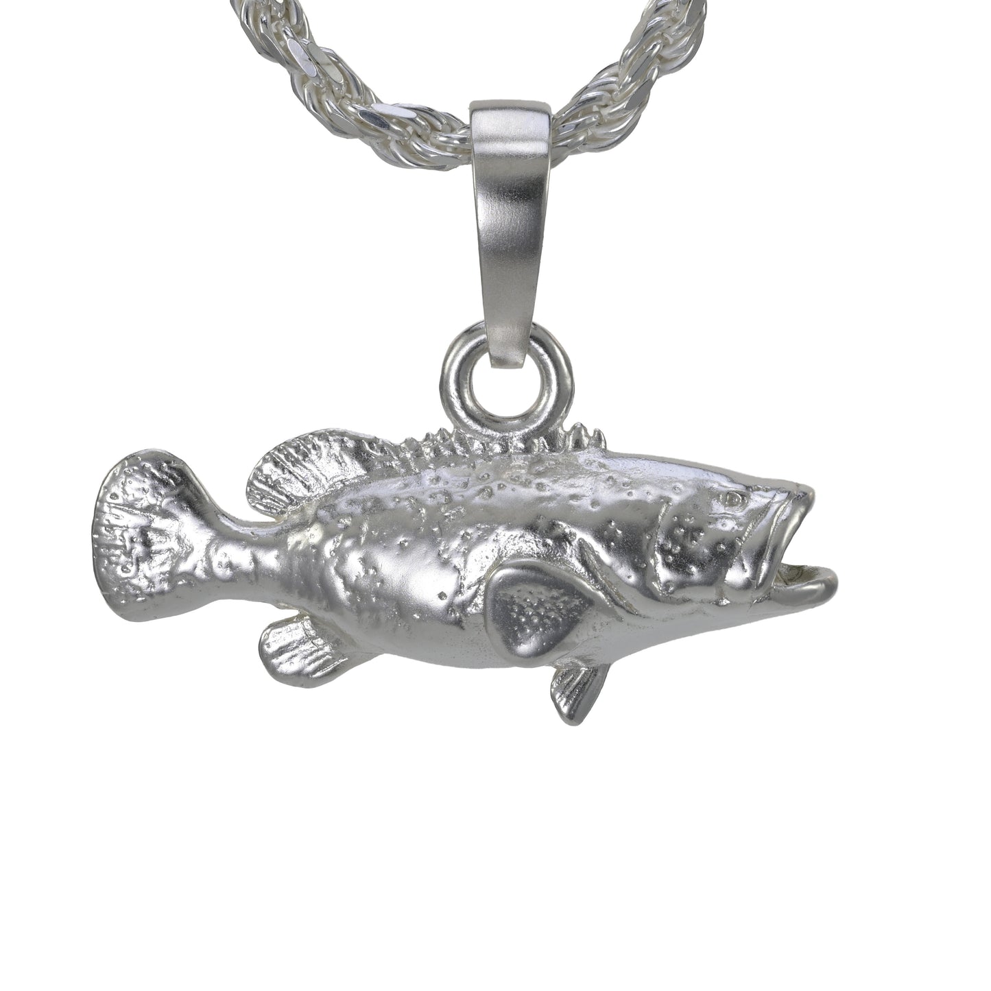 Goliath Grouper -  Large