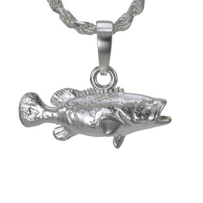 Goliath Grouper -  Large