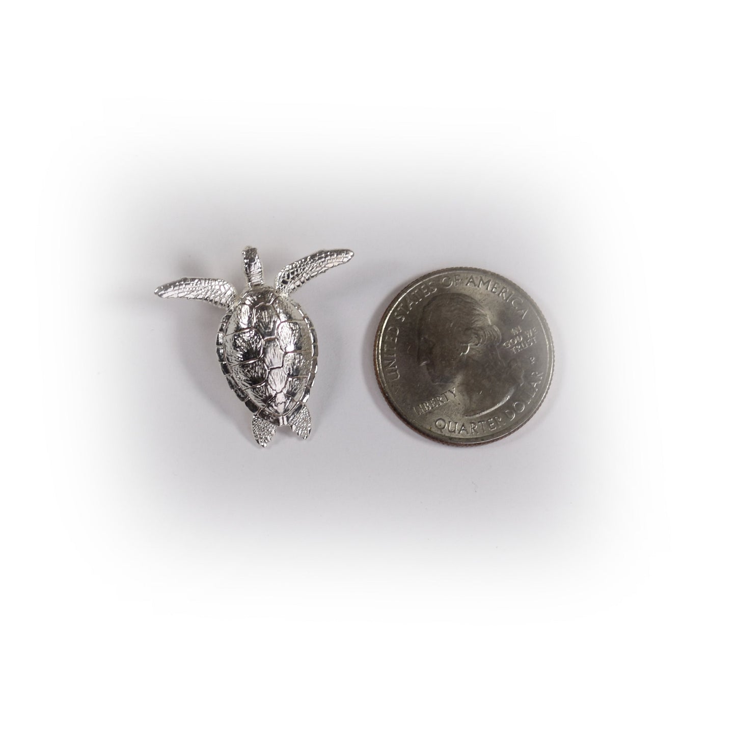 Green Sea Turtle - Medium