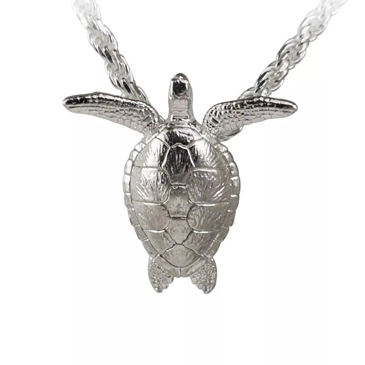 Green Sea Turtle - Small