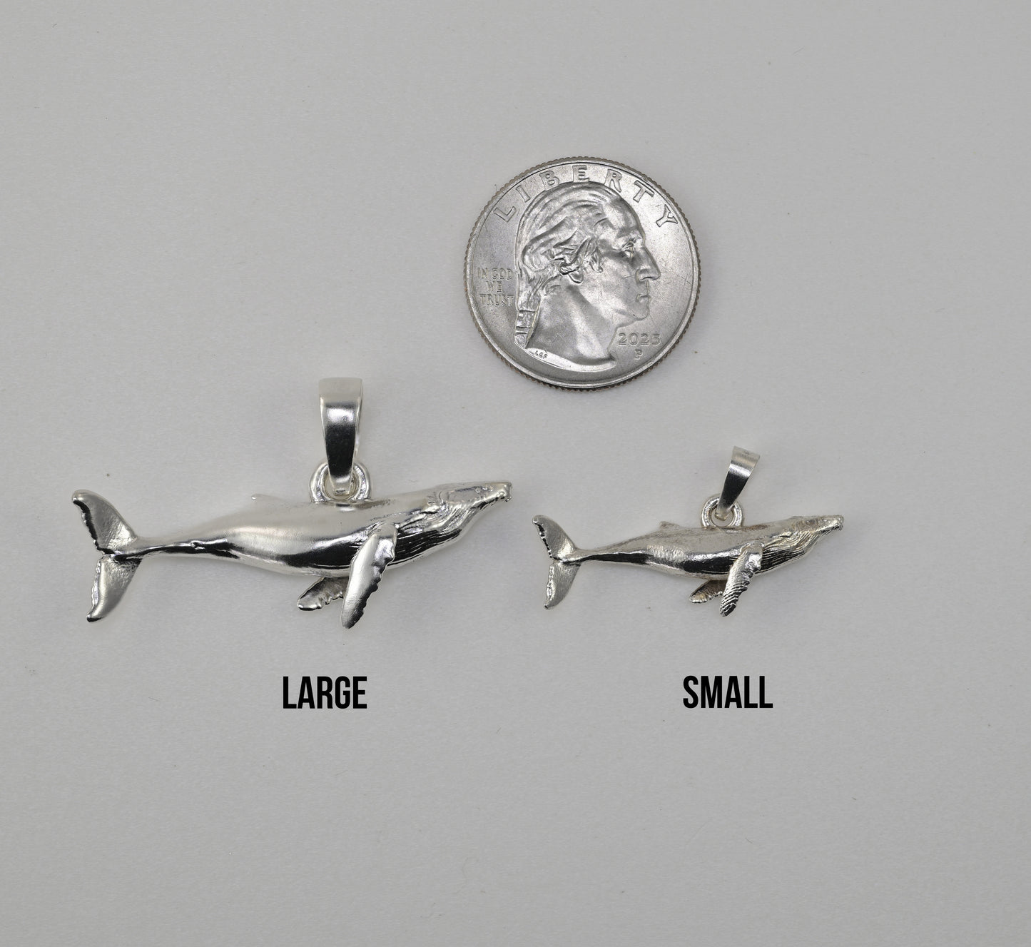 Humpback whale large vs small vs quarter size reference
