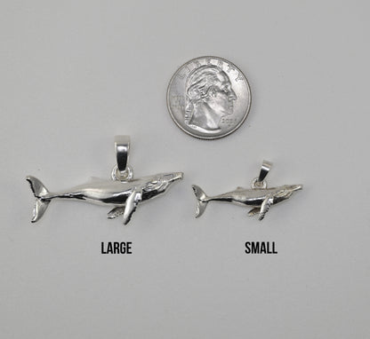 Humpback whale large vs small vs quarter size reference