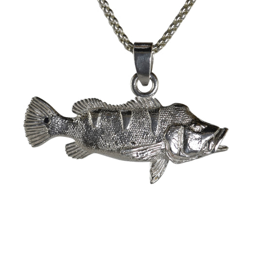 Peacock Bass - Medium