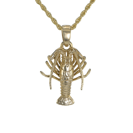 Spiny Florida Lobster - Small