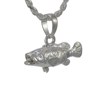 Goliath Grouper -  Large