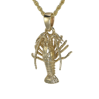 Spiny Florida Lobster - Small