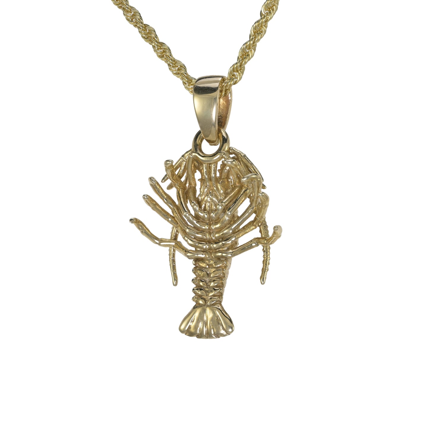 Spiny Florida Lobster - Small