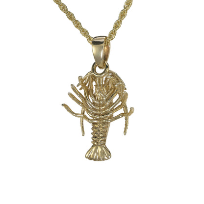 Spiny Florida Lobster - Small