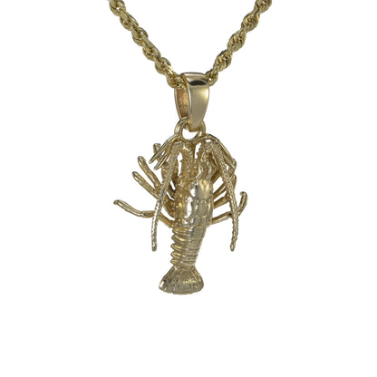 Spiny Florida Lobster - Small
