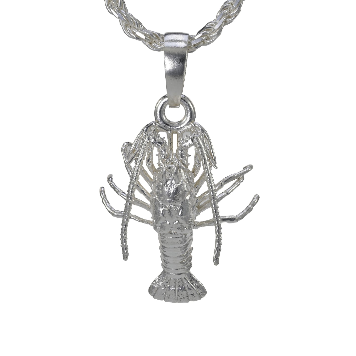 Spiny Florida Lobster - Large