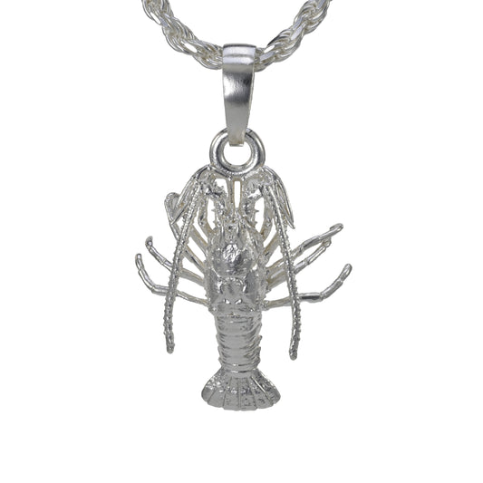 Spiny Florida Lobster - Large