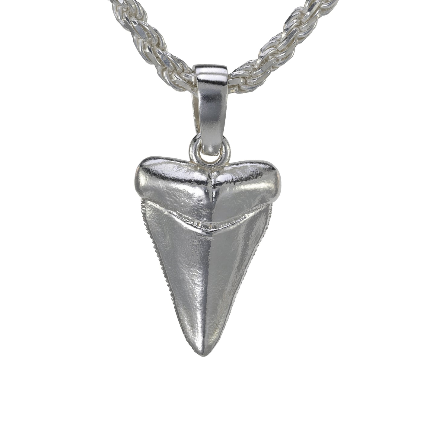 Shark Tooth Pendant - Medium