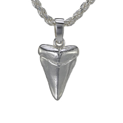Shark Tooth Pendant - Medium