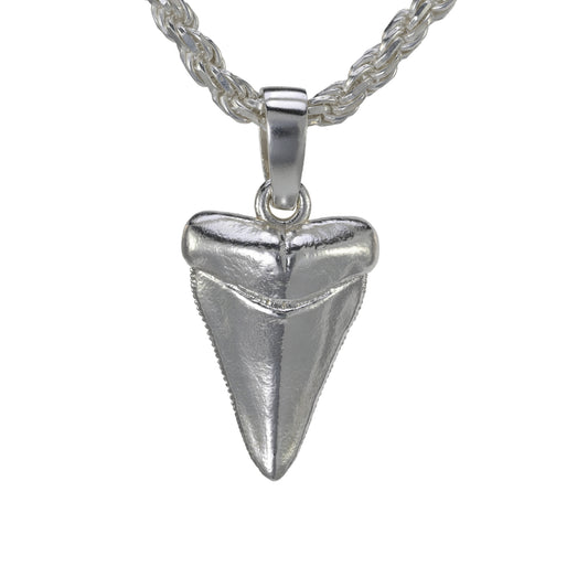 Shark Tooth Pendant - Medium