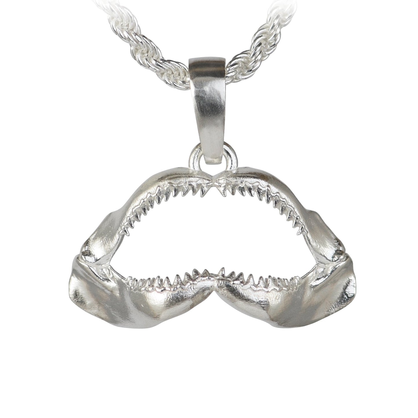 Bull Shark Jaw Pendant - Medium