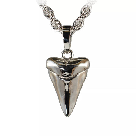 Shark Tooth Pendant - Large