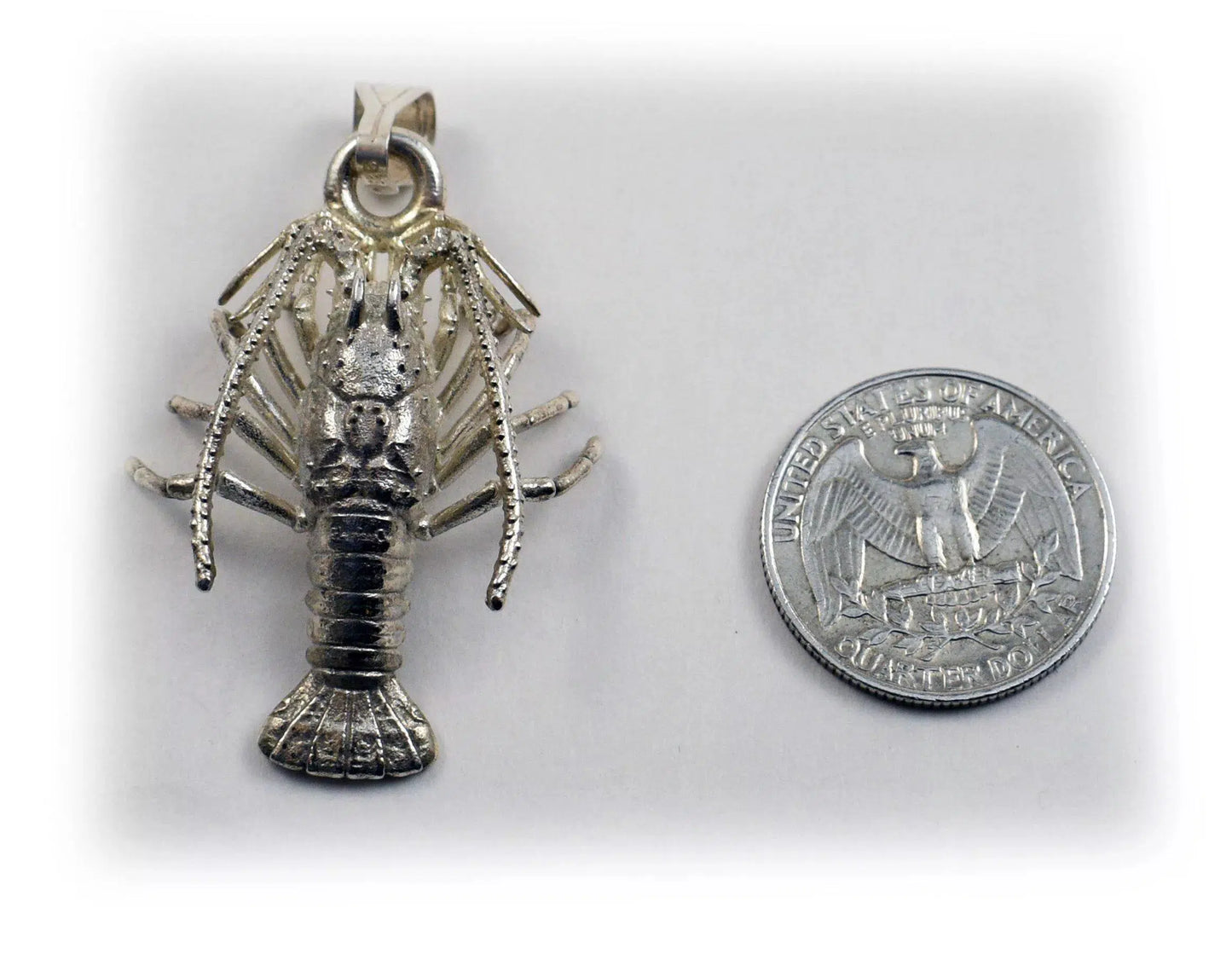 Spiny Florida Lobster - Large