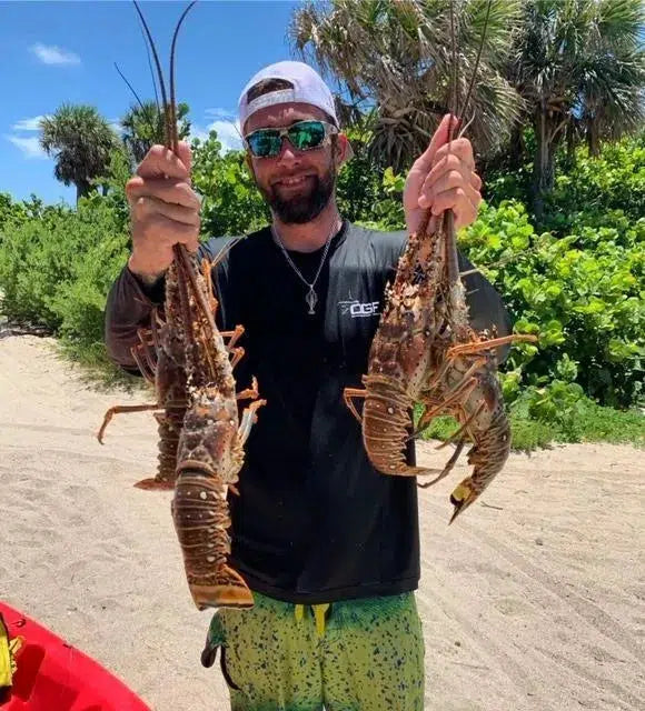 Spiny Florida Lobster - Large